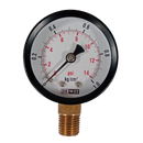 Manometro marca Dewit caratula 2 pulg, presion de 0-1 kg/cm2 (15 PSI), seco, escala dual, conexion inferior de 1/4 pulg NTP en Bronce, exactitud 2