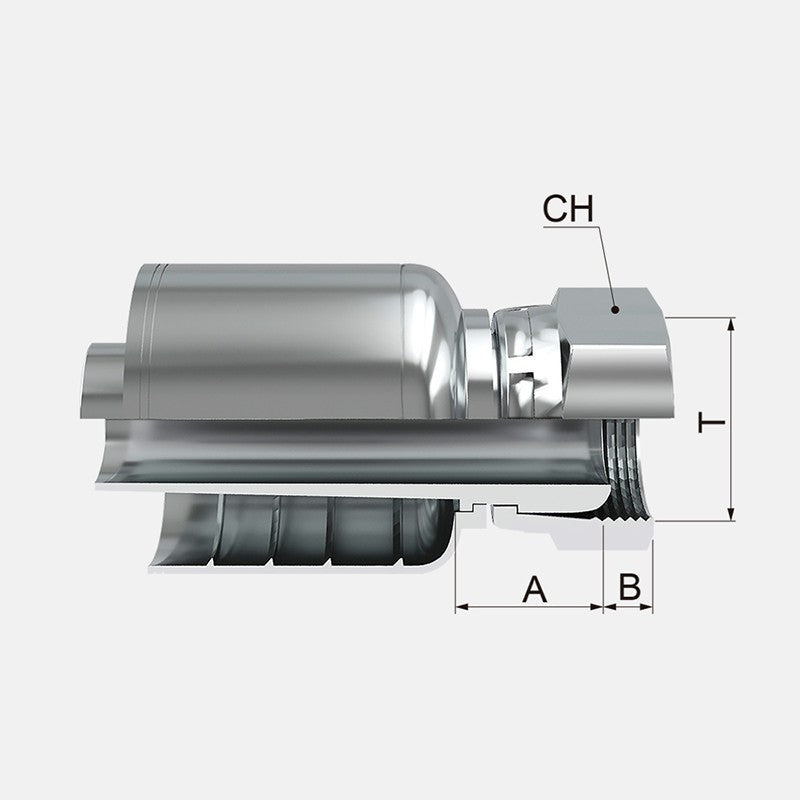 Conexion Crimpable Hembra Giratoria BSP asiento 60 de 3/8 pulg. x 3/8 pulg. ID Manguera, Covalca, serie FK, Acero (19243-6-6-I)