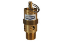 Valvula de Seguridad Dixon de Bronce Macho NPT 1/4 pulg. de 30 PSI