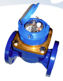 Medidor de Paletas Dorot para Riego o Aguas tratadas de 3 pulg.